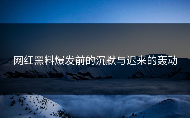 网红黑料爆发前的沉默与迟来的轰动