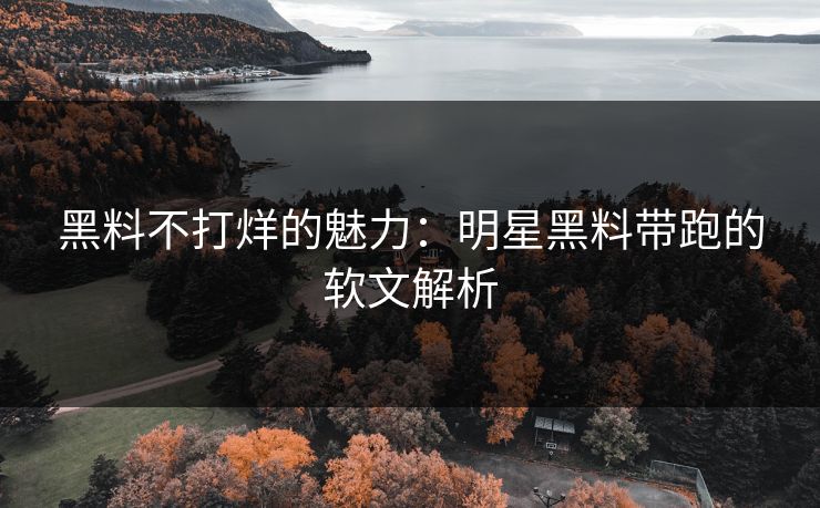 黑料不打烊的魅力：明星黑料带跑的软文解析