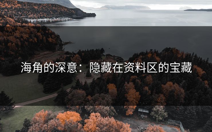 海角的深意：隐藏在资料区的宝藏