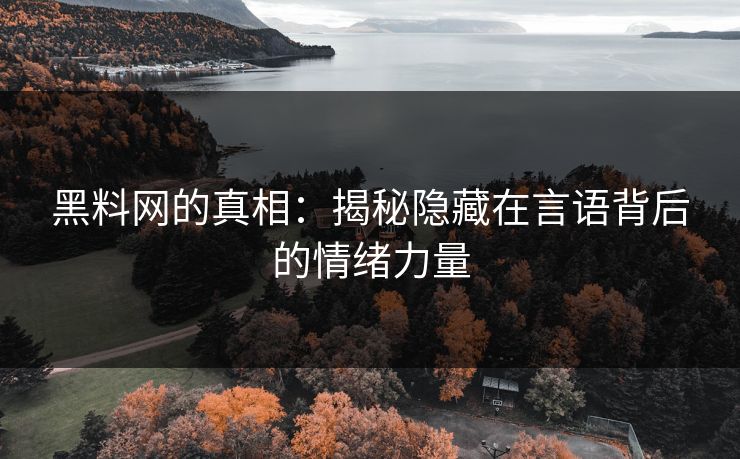 黑料网的真相：揭秘隐藏在言语背后的情绪力量