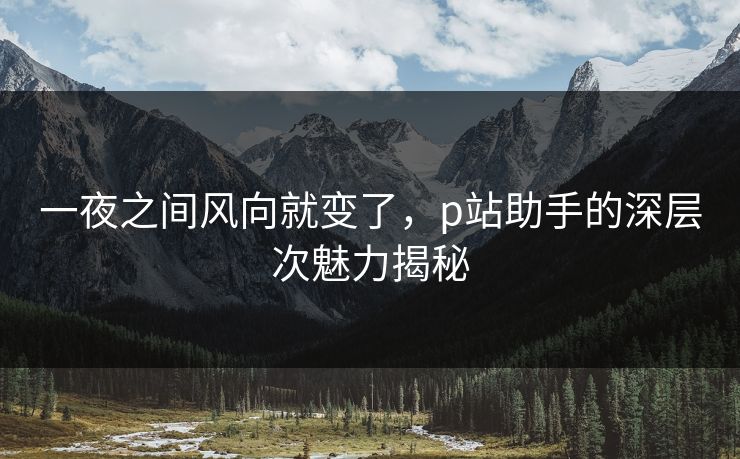 一夜之间风向就变了，p站助手的深层次魅力揭秘