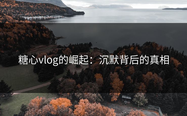 糖心vlog的崛起：沉默背后的真相